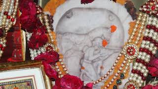 Shree Amarchand Dham Sikar Live Stream [upl. by Oirifrop809]