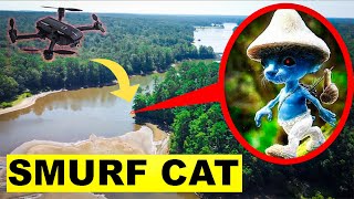 DRONE CATCHES SMURF CATEXE IN REAL LIFE AT BIG FOOT FOREST  SMURF CAT CAUGHT IN REAL LIFE [upl. by Kehoe]