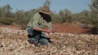 Natural Sciences Loop  Opal Fossicking Quilpie [upl. by Frants]