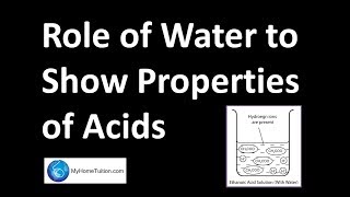 Role of Water to Show Properties of Acids  Acids and Bases [upl. by Lord]