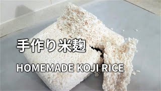 【米麹米こうじの作り方】タッパー1つで手軽に自家製の米麹を作ります。 HOMEMADE KOJI RICE Fermented Rice 米麹日式酒酿，曲霉 [upl. by Hermione]