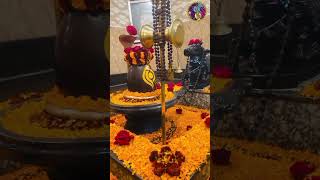 शिव शम्भू नमस्तुभ्यम Shiv Shambhu Namastubhyam Shiv Vandana Shiv Bhajan शिव भजन [upl. by Ayetal]