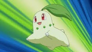 Pokémon Chikorita jealous due Pikachu Anime edit [upl. by Gautious]