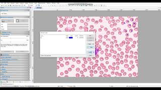 Microscope camera software introduction Manual Cell Counting [upl. by Eenat]