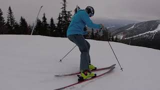 2019 Ski Test  Fischer Ranger 108 Ti [upl. by Ardel612]