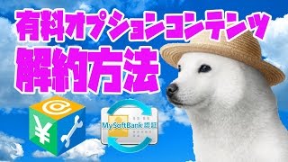 ソフトバンクの有料オプションサービス解約方法 My Softbankから開始 [upl. by Aihsak753]