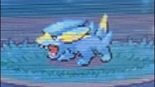 Shiny Electrike after a Pokeradar chain of 18 in Pokémon Platinum dpp shinypokemon [upl. by Elmira658]