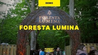 Foresta Lumina  An Enchanted Night Walk From Park to Illuminated Forest [upl. by Asillem695]