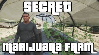 GTA 5  Secret Marijuana Farm Easter Egg Grand Theft Auto 5 Easter Egg [upl. by Chrysler]