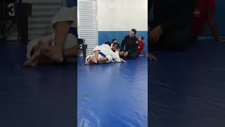 jiujitsu kids [upl. by Bradly]