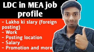 LDC in MEA job profile  LDC in MEA work profile [upl. by Lipski]