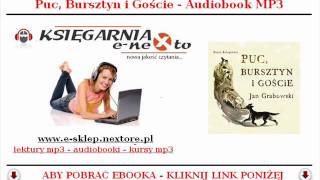 PUC BURSZTYN i GOŚCIE  AUDIOBOOK MP3  Jan Grabowski BAJKA DLA DZIECI  POBIERZ [upl. by Nemhauser]