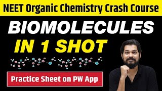 Biomolecules Class 12 Board  Complete Chapter One Shot [upl. by Gove]