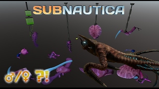 Sea Emperor gender confusion  Subnautica News 56 [upl. by Emmy632]