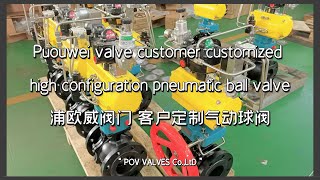 Understanding Pneumatic Ball ValvesWhat is a Pneumatic Ball Valvepovvalve [upl. by Nnaynaffit673]