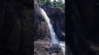 karimizhi kuruviye song athirappilly waterfallloveromanticwatershortclipskichoosvlogshorts💘💘💘 [upl. by Axel]