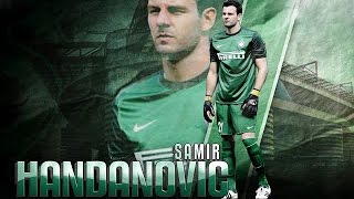 Samir Handanovic ● All Penalties Saves in Serie A [upl. by Giacamo900]