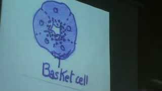 Dr Gehan Salivary Glands 10112013 [upl. by Standice199]