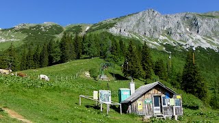 Alpine Bergtouren  19 Österreich Hohe Veitsch [upl. by Anha]