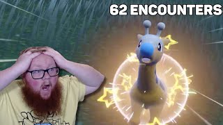 Shiny Girafarig  Evolution Reaction Outbreak Method 62 Encounters [upl. by Nirihs]