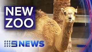 Sydney’s new zoo to open doors  Nine News Australia [upl. by Mitinger]