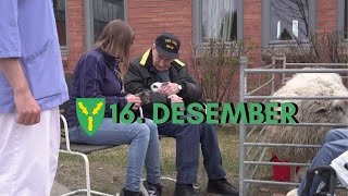 Nes julekalender  16 Desember [upl. by Noryk998]