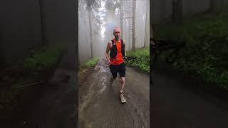 trailrunning in the Vosges France [upl. by Merkley313]