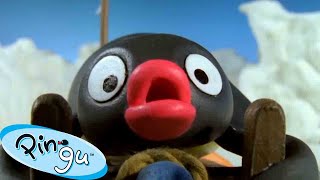 Pingu Gets Competitive 🐧  Pingu  Official Channel  Cartoons For Kids [upl. by Ellatsyrc]