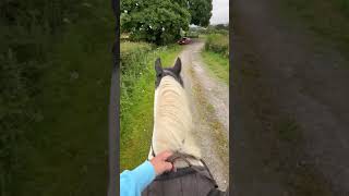 CnG Equine Marley on his first daysolo hack [upl. by Deach]