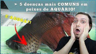 5 doenças mais COMUNS em peixes de AQUÁRIO [upl. by Higley]