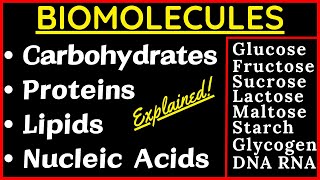 Biomolecules Carbohydrate Monosaccharides Disaccharides Polysaccharides Protein Nucleic Acid Lipids [upl. by Tabib]