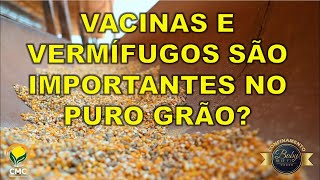 Vacinas e vermifugos são importantes no puro grão [upl. by Ellevart]