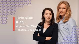 O Zmierzchu 24  Mięśnie Dna Miednicy 12 [upl. by Arev22]