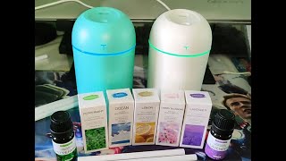 How Does a Humidifier Work [upl. by Nilam]