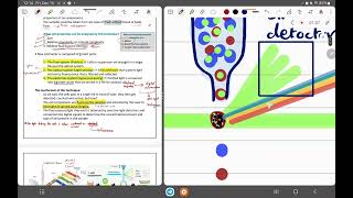 flow cytometry technique L7 micro lab [upl. by Broddy736]