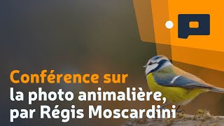 Conférence sur la photo animalière par Régis Moscardini [upl. by Kikelia]