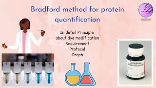 Bradford method for protein quantification  Protocol [upl. by Ylrad45]