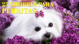 25 bonitos nombres para PERRITAS [upl. by Ynaoj905]