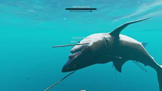 MEGALODON BOSS FIGHT  Stranded Deep PS4 [upl. by Ahsela]