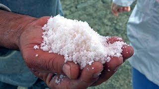 La sal de dónde viene y cómo se hace  Salinas de Guérande Francia  Sal de mar para cocina [upl. by Dur]