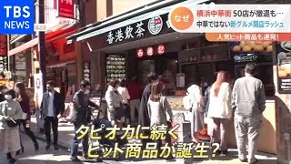 50店舗が閉店の横浜中華街 中華じゃない店が次々オープン【Nスタ】 [upl. by Corliss488]