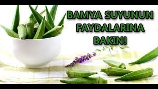 BAMYA SUYUNUN FAYDALARI  Faydalı Bilgiler [upl. by Iborian837]