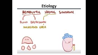 hemolytic uremic syndrome HUS [upl. by Westney193]