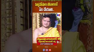 పితృదోషాలు పోవాలంటే ఏం చేయాలి Mktvtelugu Astrology devotional [upl. by Henderson464]