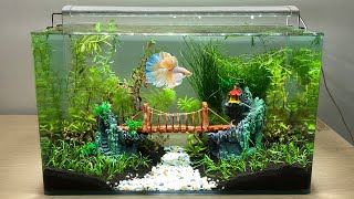 How To Make Outdoor Aquarium Sustainable  Design And Decorations [upl. by Gessner]