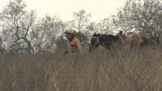 Historic Spanish Land Grants Date Back Centuries [upl. by Yelehsa]