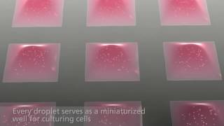 DropletMicroarray miniaturized platform for live cell screening based on the Lotus Effect [upl. by Nirat]