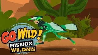 Go Wild Mission Wildnis  Sprichst du Delfinisch Trailer  Folge 18 [upl. by Carlin214]