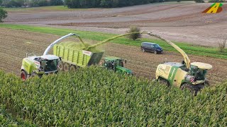 Großeinsatz Mais häckseln 2019  Krone BigX 850 Claas Jaguar 970 farmer corn harvest Maisernte [upl. by Nileuqaj860]