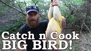 Catch and Cook GIANT Wild BIRD amp Mullberries Ep04  100 WILD Food SURVIVAL Challenge [upl. by Ellenyl315]